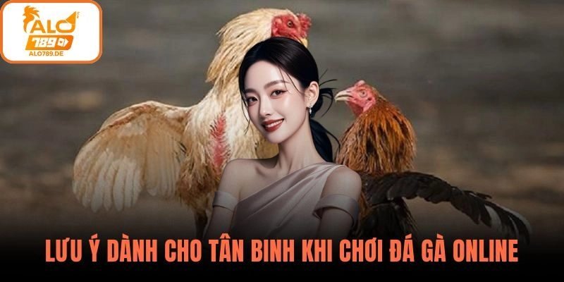Một số lưu ý dành cho tân binh khi chơi đá gà online